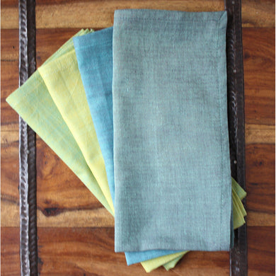 Grass to Sky 20 inch Cotton Napkin Set of 4 - Sustainable Threads (L)
